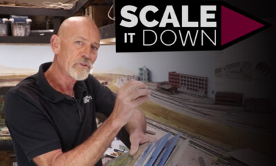 Scale It Down Series