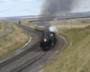 Black steam locomotive pulling 12-car passenger excursion train.