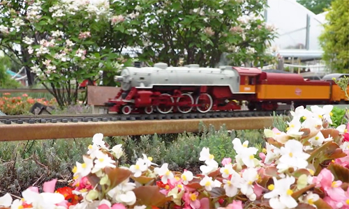 Motion blur train running above a garden of flowers.