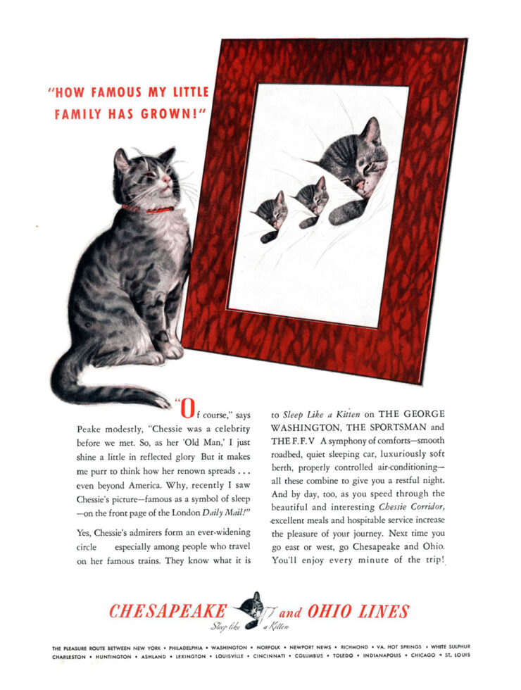 Chessie the railroad kitten - Trains