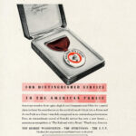 Chessie the railroad kitten - Trains