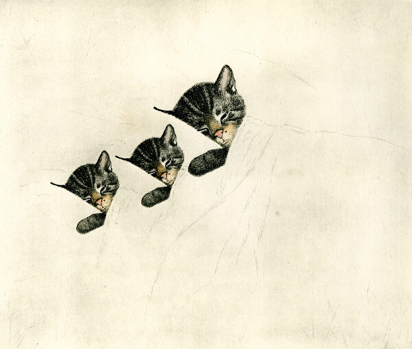 Chessie the railroad kitten - Trains