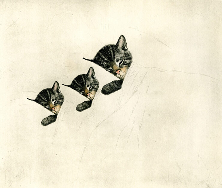 Chessie the railroad kitten - Trains