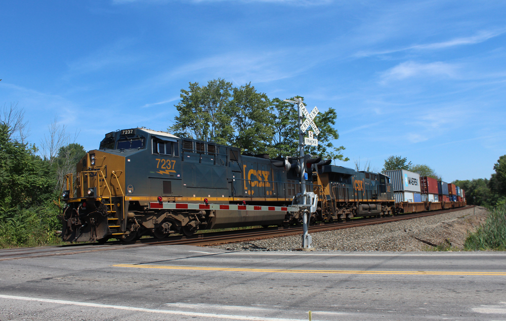 Intermodal train with two blue and yellow locomotives at grade crossing