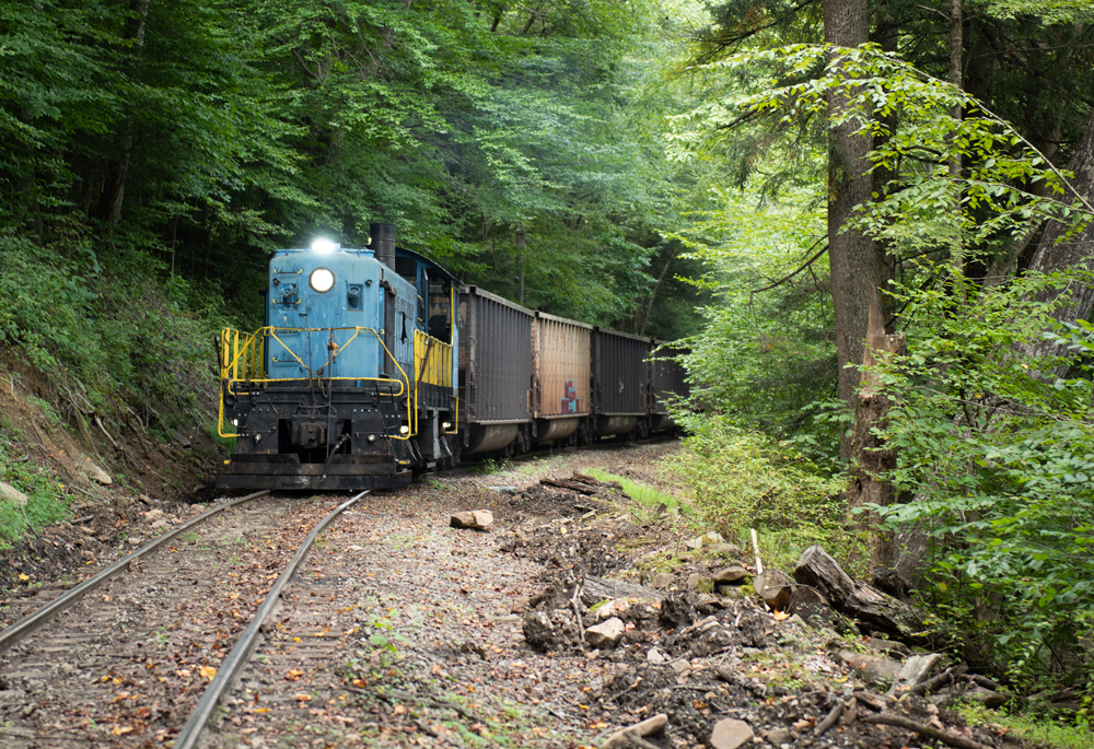 Blue switch engine with hopper cars in woods