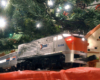 model train under Christmas tree
