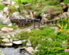  model train in garden railway scene