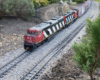red, black, and white model diesel on track
