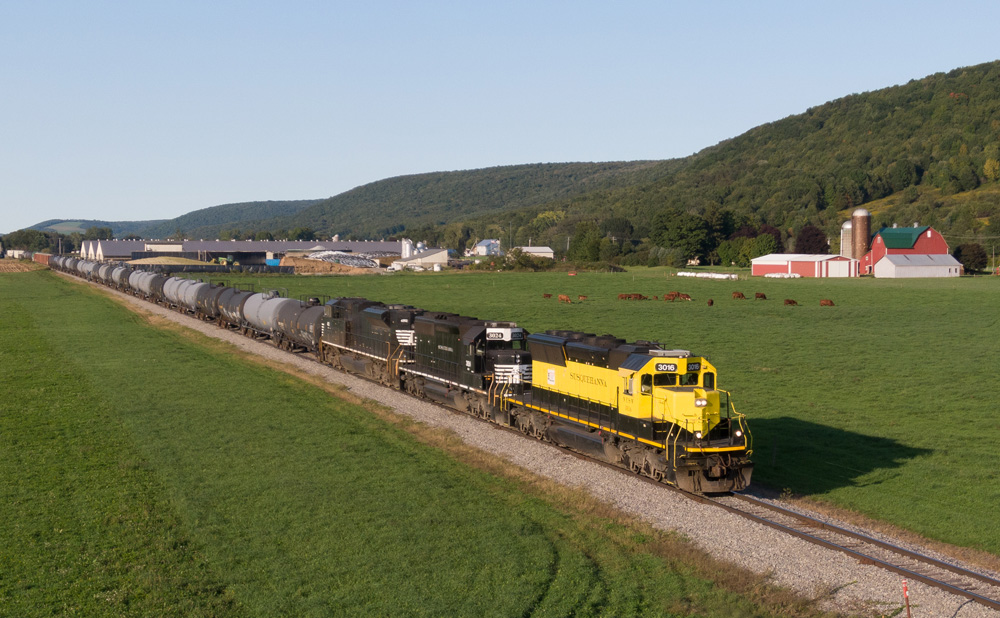 Yellow and black locomotive with two black locomotives on train passing through farmland