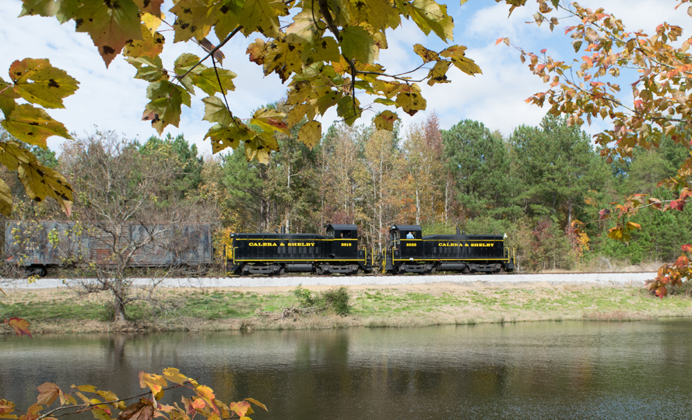Two black painted locomotive together framed by autumn leaves.