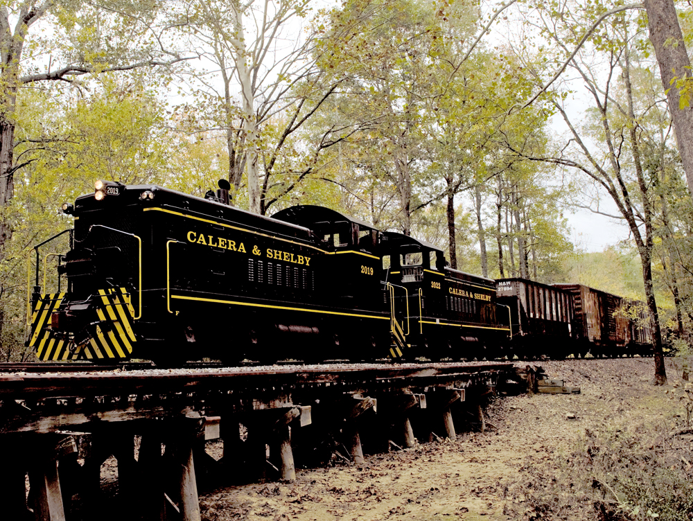 Two black-painted SW8 locomotives leading a train through a forest.