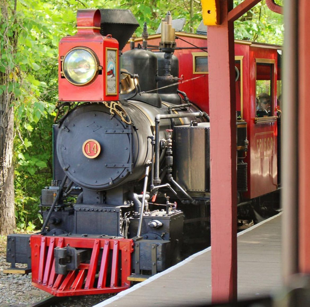 Two-foot gauge steam locomotive at theme park