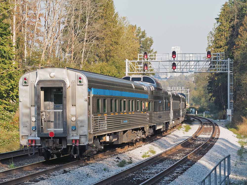 Passenger train with empty coach behind observation car