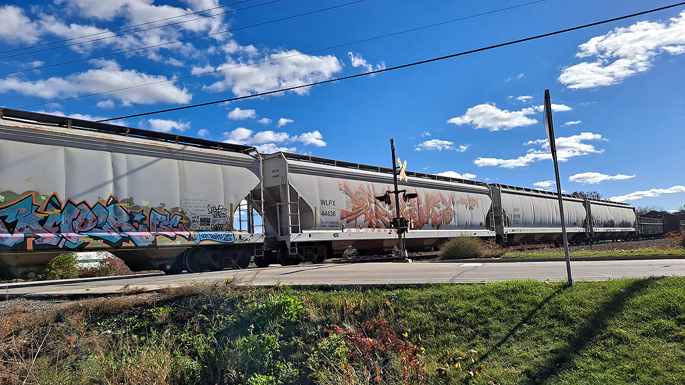 A string of gray covered hoppers with varying amounts of graffiti on them passes a grade crossing.