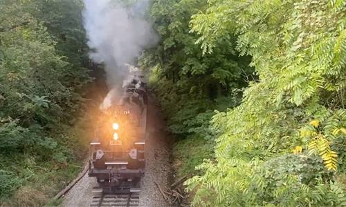 Bright headlight steam locomotive plowing through greenery.