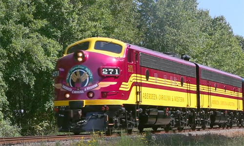 Purple and yellow locomotives in a green area.
