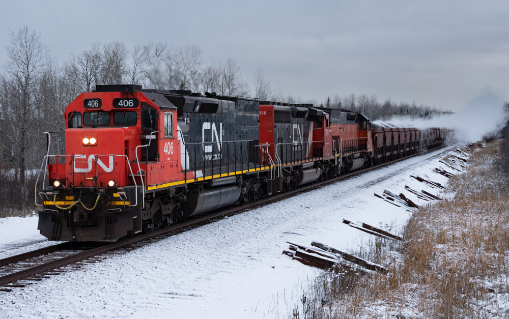 red and black train on tracks