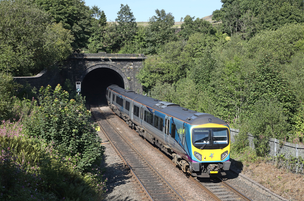 Diesel multiple unit trainset exiting tunnel