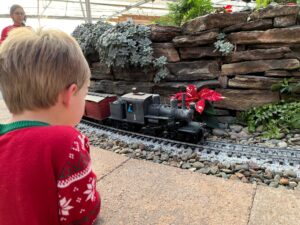Hobby shops trains and holidays child watching locomotive