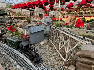 Hobby shops trains and holidays families shopping