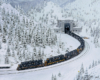 As snowflakes whirl in the sky, a black coal train emerges from a tunnel into a white Rocky Mountain scene