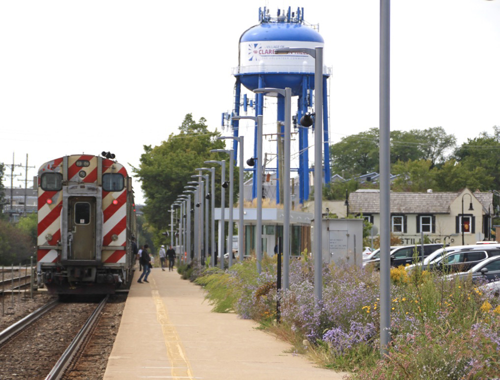 Blossoming plants along walkway at station