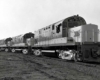 Four new diesel locomotive with silver trucks lined up