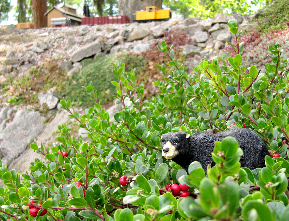 bearberry: small bear figure sitting in evergreen patch of plants