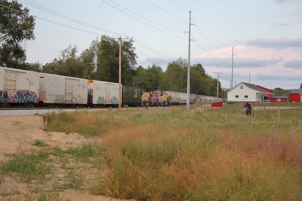 Three diesel locomotives in the middle of a freight train by a farm