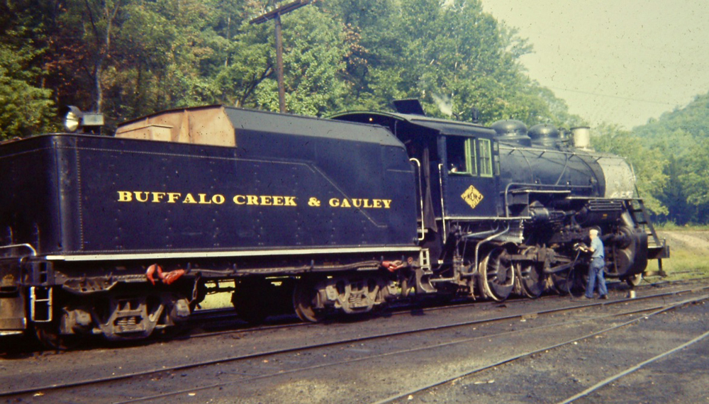 Steam engine in view from tender end