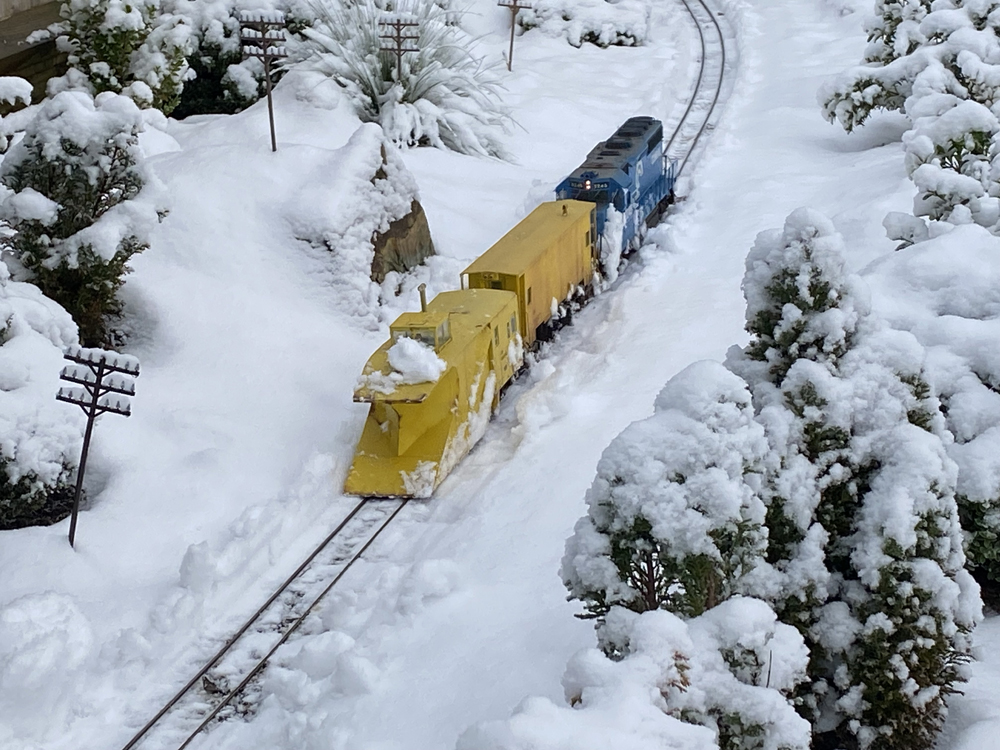 Garden railroading in the snow - Trains