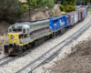 model train on garden railroad