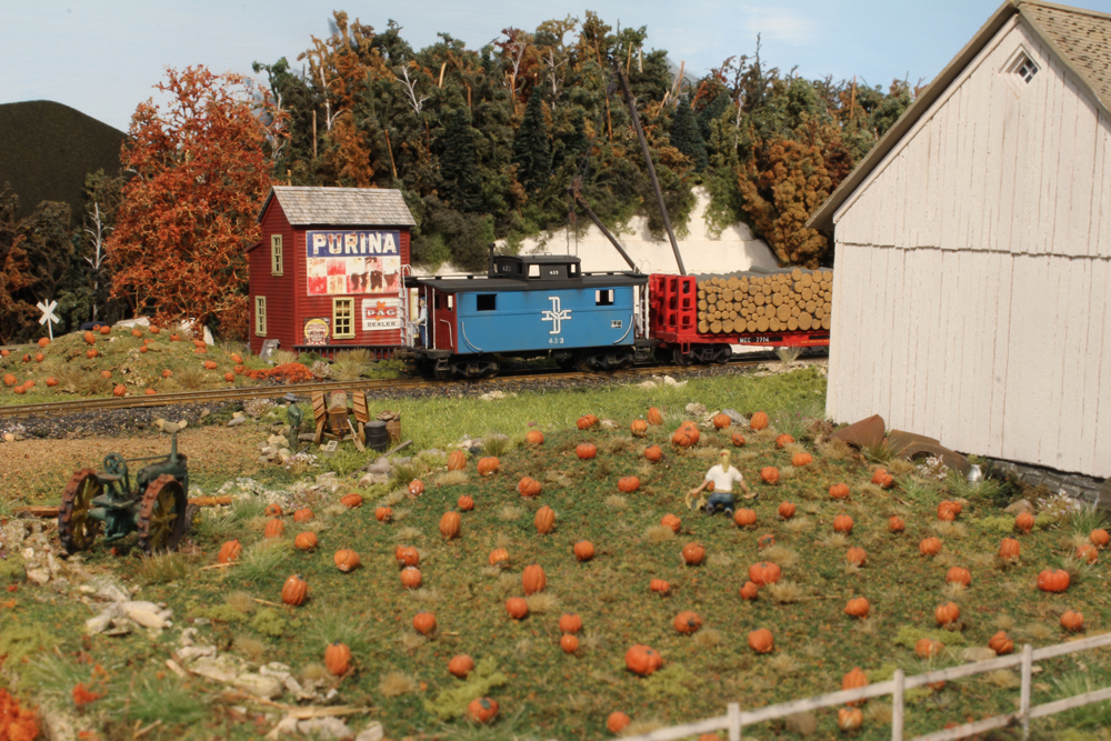 A model train passes a pumpkin patch
