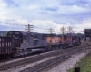 Locomotives wearing black, yellow, and red move away from camera