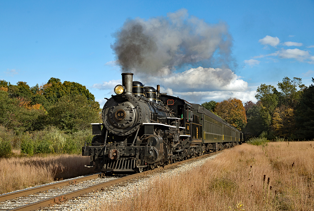 Steam locomotive pulling passenger train out of the forest.