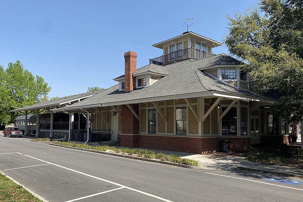 Passenger train station among trees