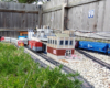 train with blue cars on garden railroad