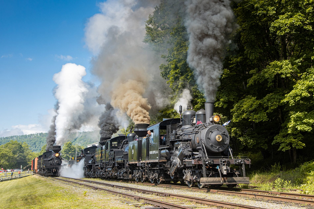 Five geared steam locomotives in operation