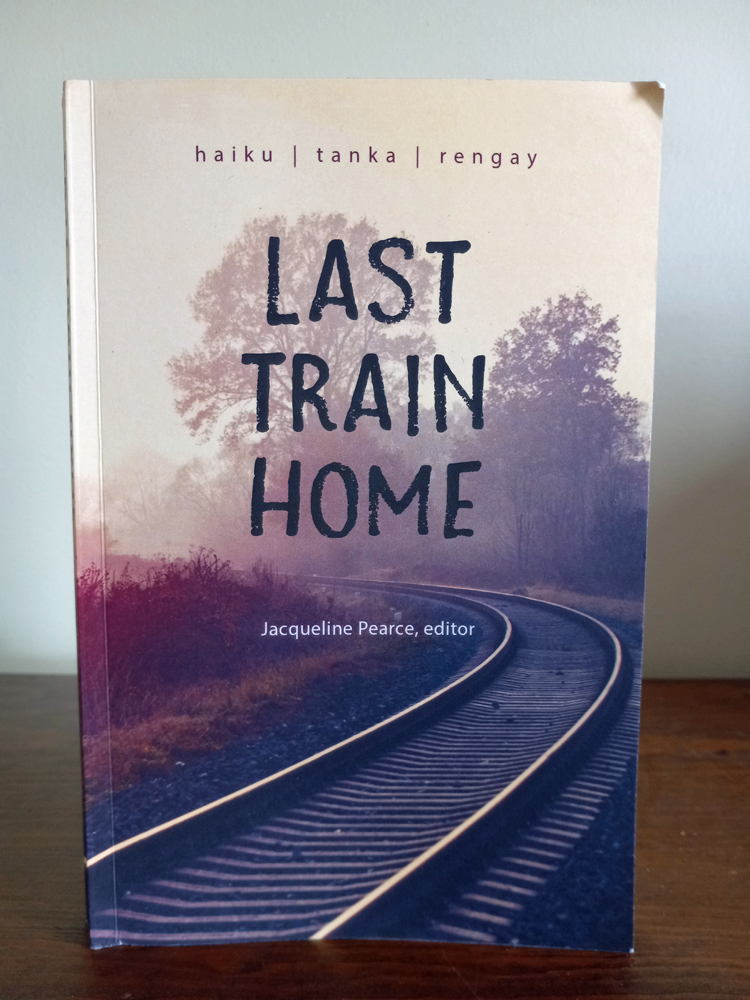 Last Train Home book cover.