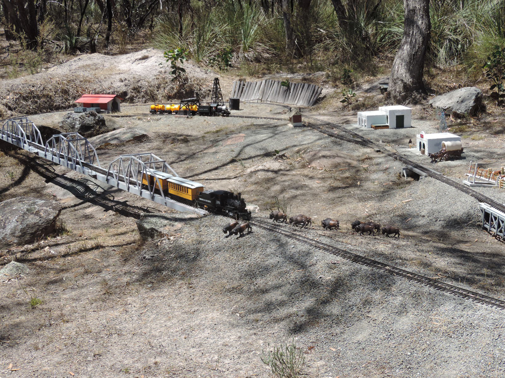train on garden railway with buffalo crossing track