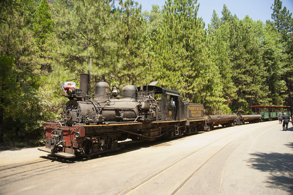 Shay steam locomotive pulling logs and passenger cars.