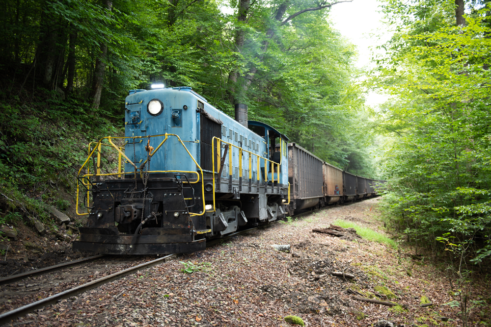 Blue Alco end-cab switcher moves hopper cars in forested area