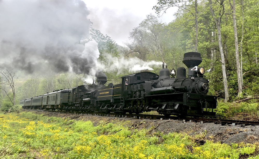 Passenger train with two Shay locomotives