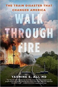 Book cover — Walk through fire