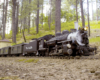 model steam locomotive with cars in wooded area on garden railway