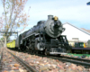 ow angled view of model steam locomotive on track of garden railway