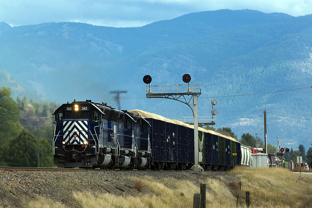 Blue Montana Rail Link diesels with white zebra stripes on their noses pull a loaded hopper train through the mountains of Montana.