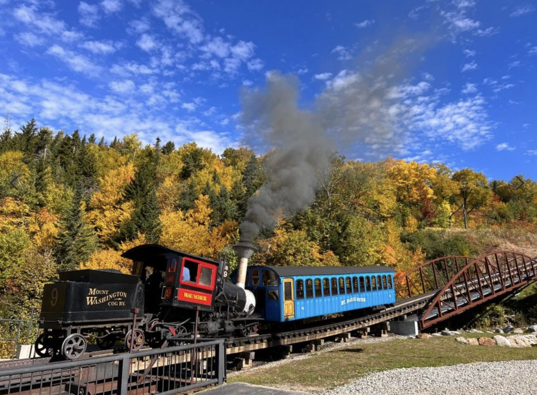 colorful trees behind steam train 