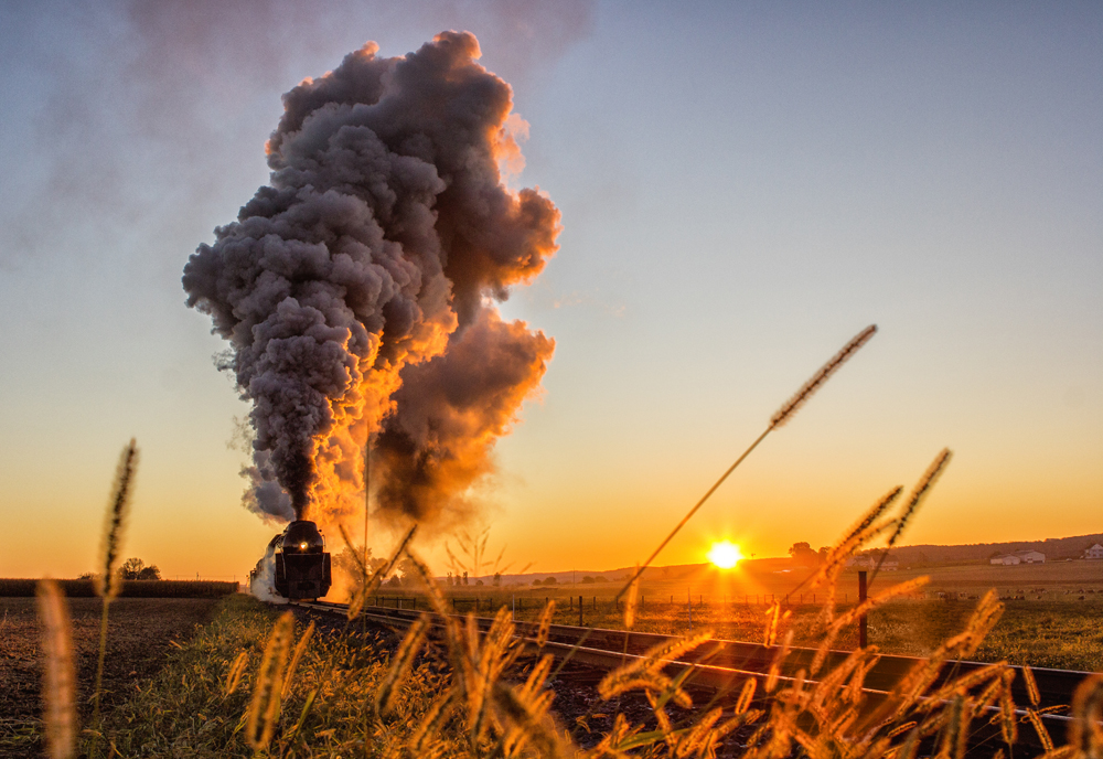 steam train in distance with sunset and cattails