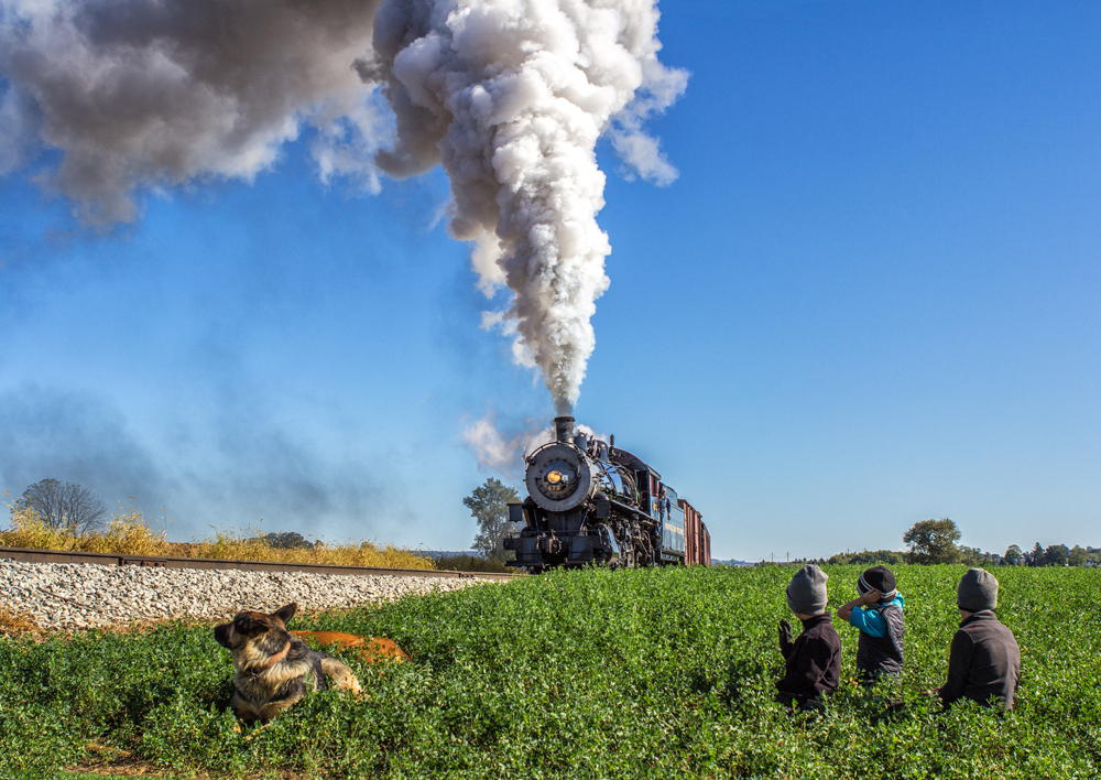 steam locomotive in distance with dogs and kids in foreground